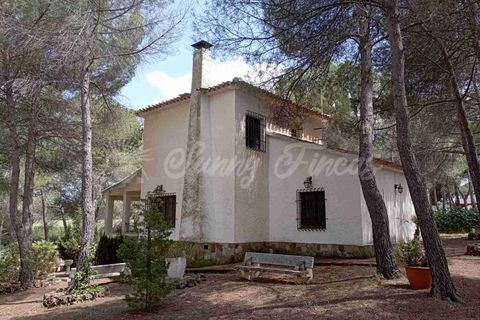 Landejendom i Ayora, Valencia, Ayora - € 186.000 | Ref: SF0459 - foto 24